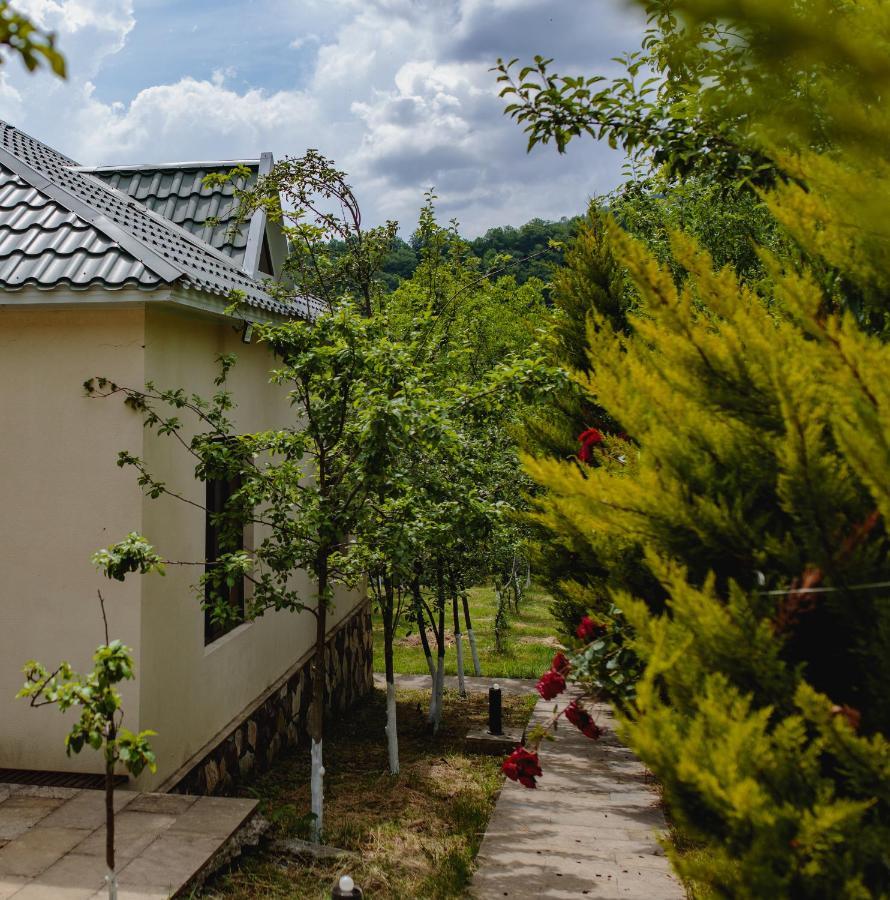 White Boutique Hotel ガバラ 部屋 写真